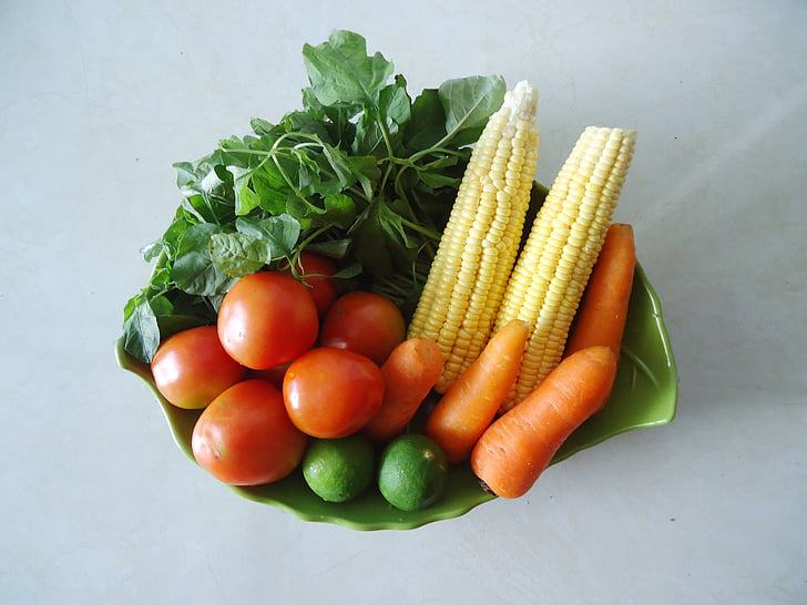 Vegan素食认证转向素食生活方式生活建议