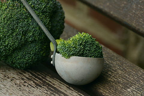 Vegan素食认证对企业产品生命周期基本要求规范