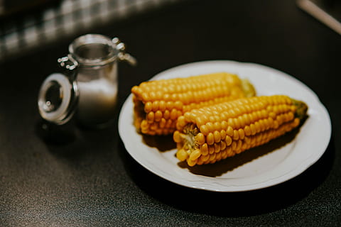 Vegan素食认证对服装素食原料减少碳排放