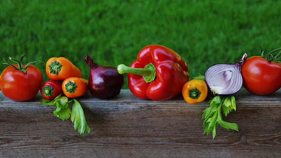 Vegan素食认证回归健康和保护地球生态环境的文化理念