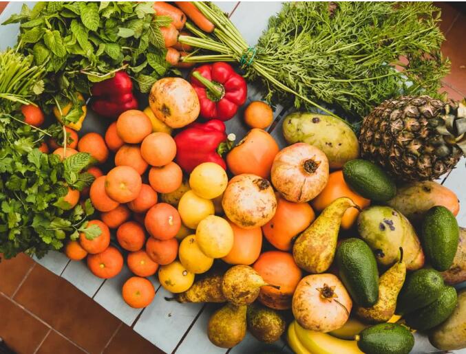 Vegan认证对可持续再生素食产品标准规定指南