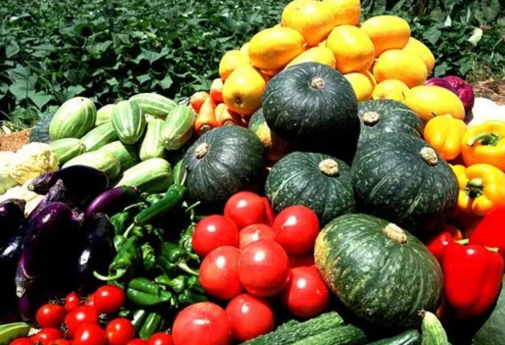 Vegan认证对纯素食产品挑选成分需要注意事项