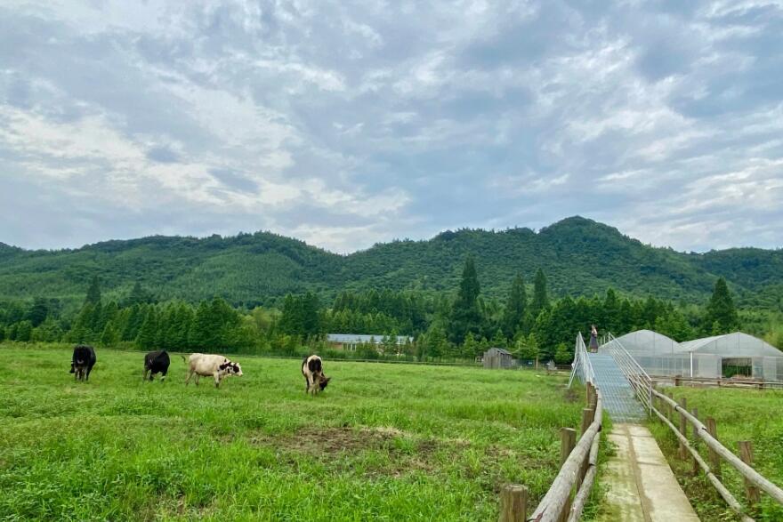 Vegan素食认证对素食产品不能含有物质清单