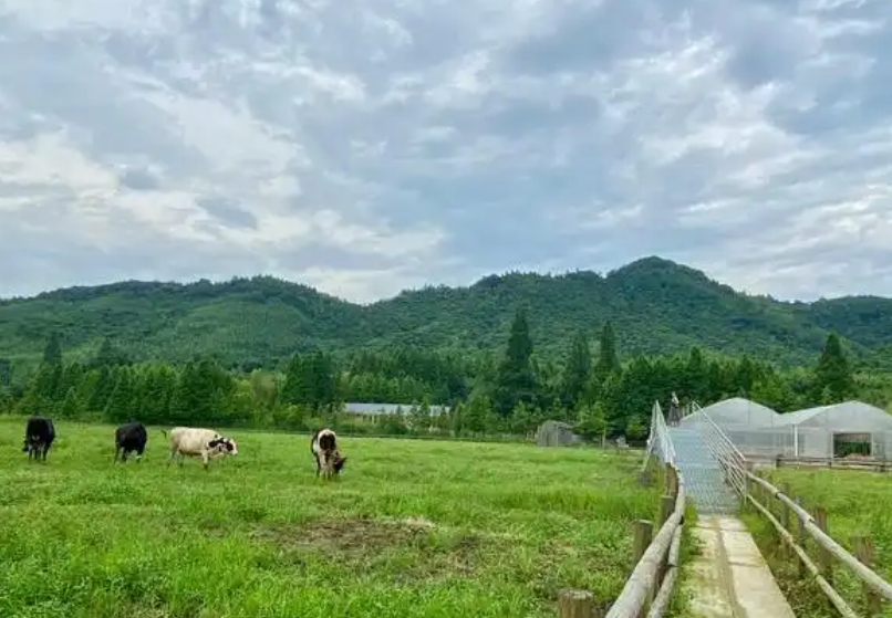 vegan素食认证对产品原料生成加工不得添加成分清单